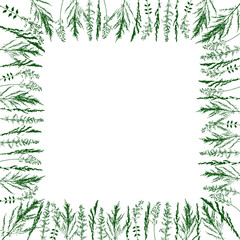 Square frame  with silhouettes of green herbs on white - background with wild grass for natural spring and summer design