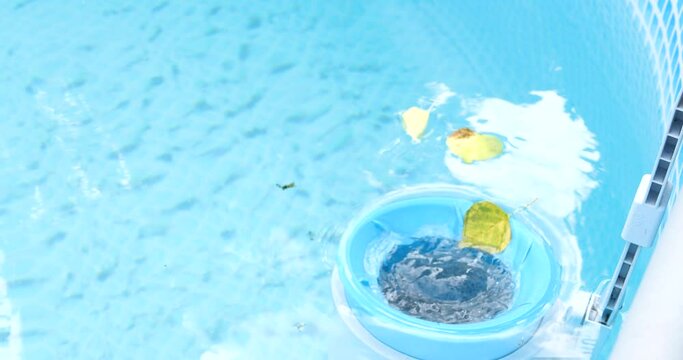 skimmer for the frame pool. Contaminated pool cleaning concept.