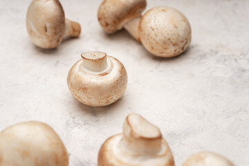 A few raw mushrooms on a light table