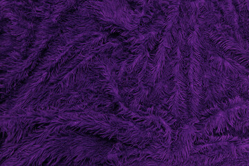 abstract background of detail bright pattern texture shaggy fur with long fibers.