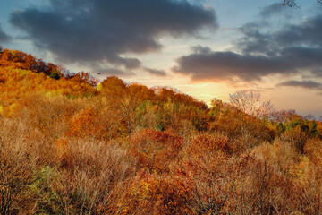 beautiful autumn landscapes in the Romanian mountains, Fantanele village area, Sibiu county, Cindrel mountains, Romania