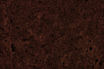 Abstract dark brown burl wood texture