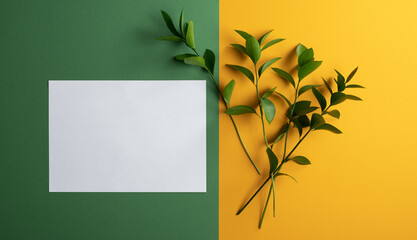 A green twig and a white sheet of paper on a colored background. Concept for design and postcards with space for text. Horizontal orientation, no people, copy space
