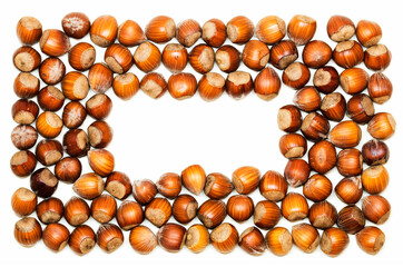 organic food ingredient Frame hazelnuts with shell flat lay. Top view isolated on white background, filbert nuts border, free space, autumn backdrop. Harvest, fall concept. nuts horizontal framing. 