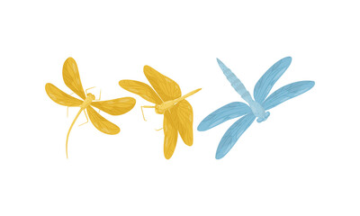 Flying Dragonfly Isolated on White Background Vector Set