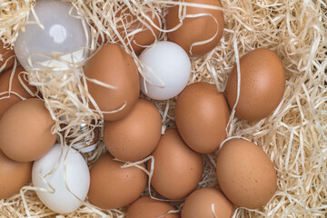 eggs and lamps energy concept