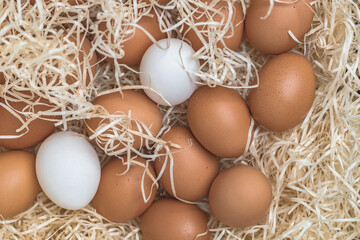 chicken eggs in the basket and covered with hay top view