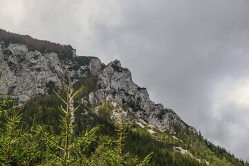 mountains with trees and grey clouds on the sky while hiking