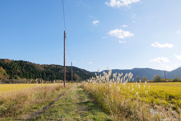 An old utility pole standing alone in the countryside.