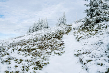 Footpath in Low Tatras mountains, Slovakia, winter scene