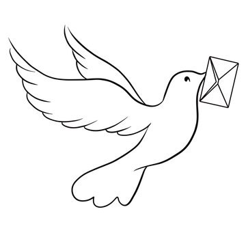 Beautiful line sketch dove bird with envelope vector illustration