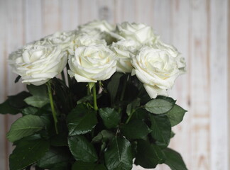 Floral card. Beautiful white rose on a wooden background, top view.
