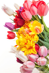 Bouquet of colorful tulips