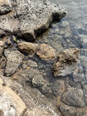 Beautiful Sea rock