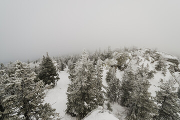 snow-covered winter coniferous forest, with completely snow-covered Christmas trees in Taganay national Park