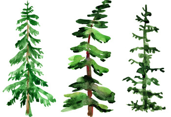 Set of watercolor christmas trees isolated on white background