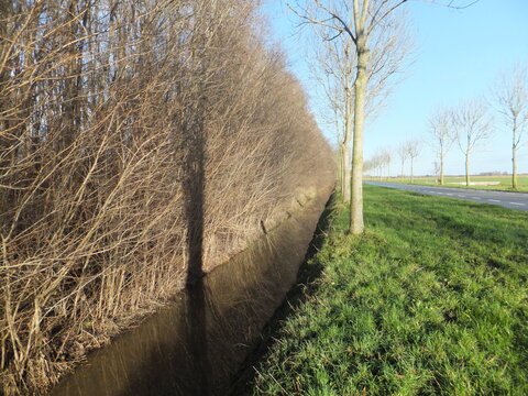 Tudor Schleurholts, sloot