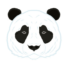wild bear panda animal head fauna character © Gstudio