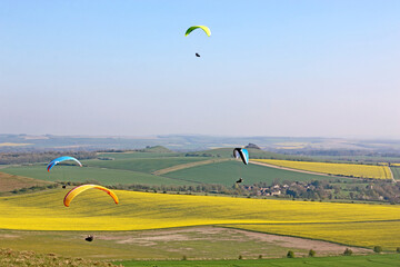 Obraz premium Paragliders flying at Milk Hill, Wiltshire 