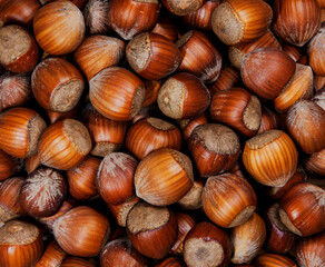 Full Frame of organic hazelnuts with nutshell, flat lay. Top view autumn texture backdrop. Harvest, fall concept. Filbert, nut frame. Food ingredient hazelnuts Background, macro detailed close up