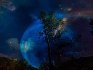 Glasschilderij Volle maan en bomen planeet in de ruimte