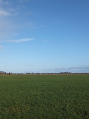 Fototapeta premium Tudor Schleurholts