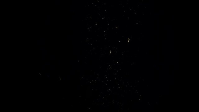 lime halves falling into water with air bubbles and a smooth black background. perfect for advertising or commercial videos for lemonade, juice and cocktails. Also perfect for  baar and drinks