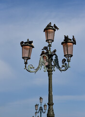 Fototapeta na wymiar Just doves on a lamppost