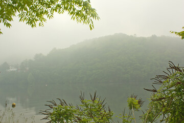 Foggy islands and leaves at dawn.