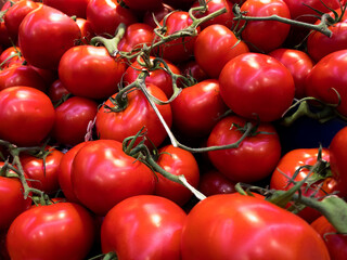 Red tomatoes with green stalk