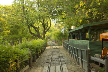 Fototapeta premium railway line passing through the summer forest at Nami Island