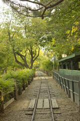 railway line passing through the summer forest at Nami Island