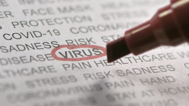 The word virus being encircled with the red pen. virus