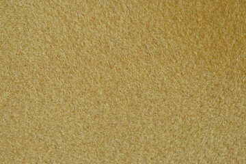 Fototapeta premium Pastel color of fur leather hairy texture background. Image photo