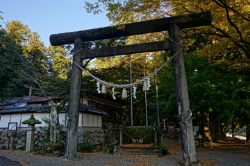 Fototapeta na wymiar Gate, Torii, of Suhara Shrine with Nagara-gawa, in Gifu, Japan - 日本 岐阜県 洲原神社の鳥居