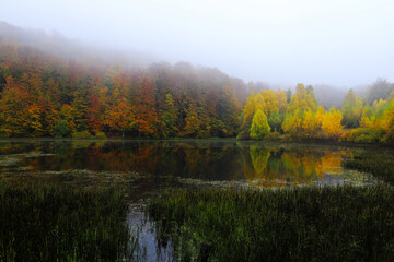 Misty autumn lake.