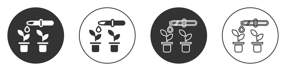 Black Drop of water drops from pipette on plant icon isolated on white background. Medical or agricultural experiments. Fertilizers and pesticides. Circle button. Vector.