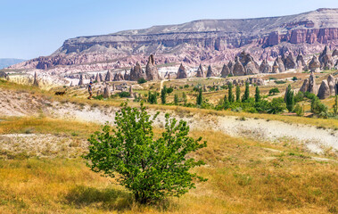 Red valley at Cappadocia, Anatolia, Turkey. Volcanic mountains in Goreme national park.