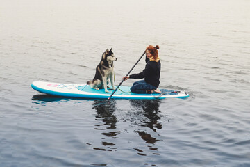 Girl swims on a SAP board with a husky dog. Walk on the lake near the spring pine forest.