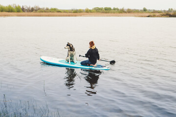Fototapeta na wymiar Girl swims on a SAP board with a husky dog. Walk on the lake near the spring pine forest.