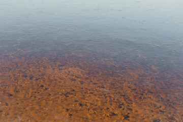  Frozen lake, clear transparent ice. Ice surface close up.