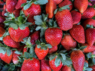 Red fresh strawberries on the market. Netanya, Israel