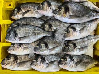 Fresh fish on the market. Netanya, Israel