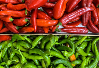 Red and green hot peppers on the market. Netanya, Israel