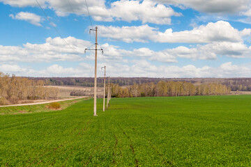 Fototapeta na wymiar Spring landscape. Power line along the road at the edge of a spring green field.