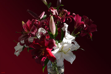 Impression bouquet de lys rouge et blanc