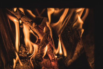 burning wood in the stove