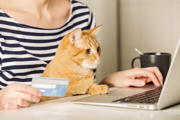 An Asian woman holds a credit card and is happily shopping online in her bed. And there is a cat beside. Concepts online shopping , life style, stay home, banks, financial transactions.