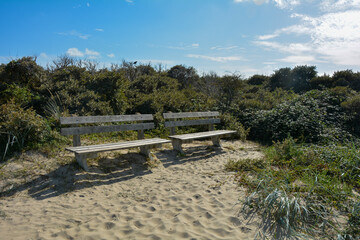 There are two benches in the dunes