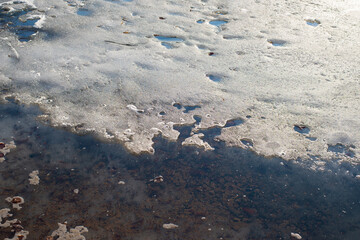 Melting ice on a forest lake on a sunny spring day